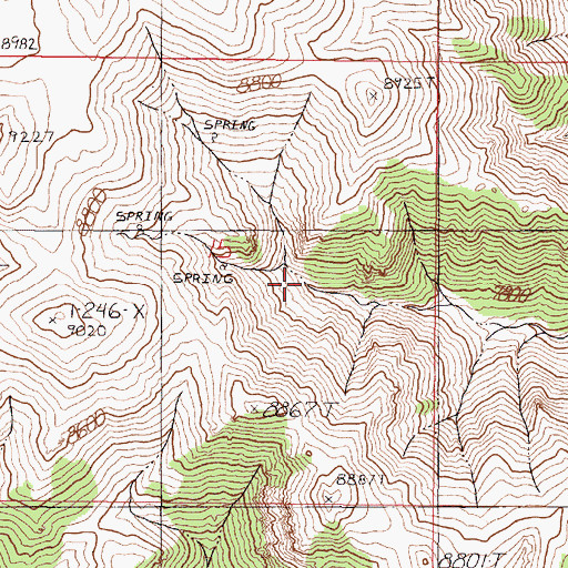 Topographic Map of Cottonwood Springs, NV