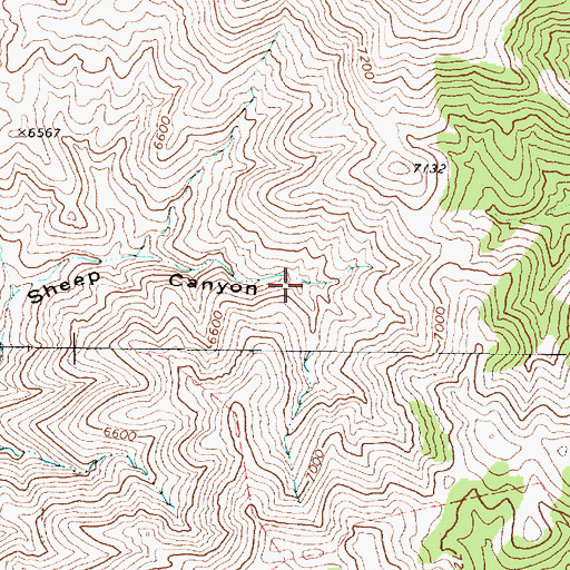 Topographic Map of Trap Corral Spring, NV
