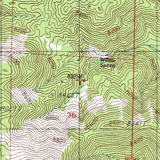 Topographic Map of Willow Spring, NV