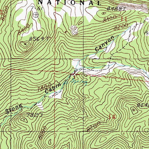Topographic Map of Rock Cabin Spring, NV