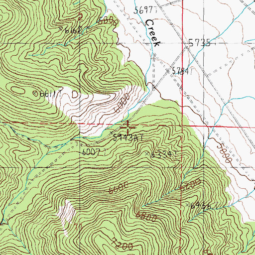 Topographic Map of Cottonwood Caon, NV