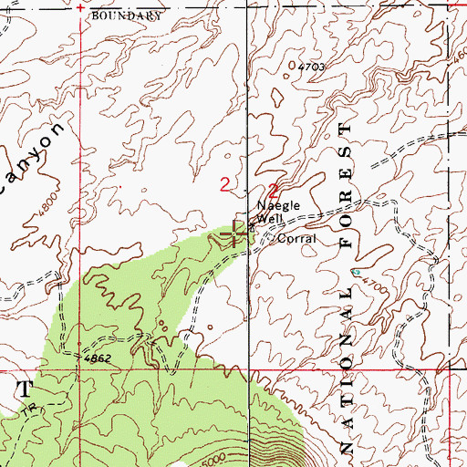 Topographic Map of Naegle Well, AZ