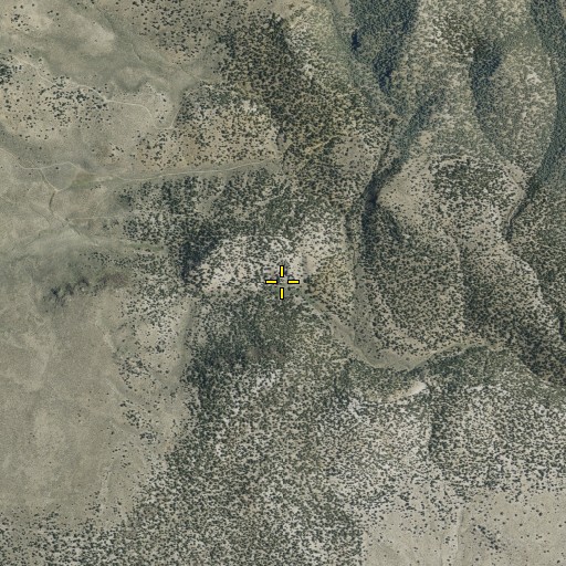 Aerial/Satellite Image of Five Mile Spring, NV