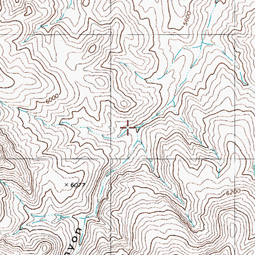 Topographic Map of Wildhorse Spring, NV