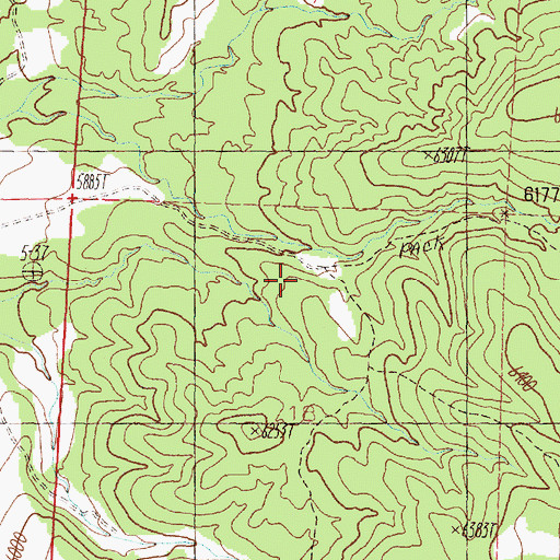 Topographic Map of Bill Johnsons Ranch, NV