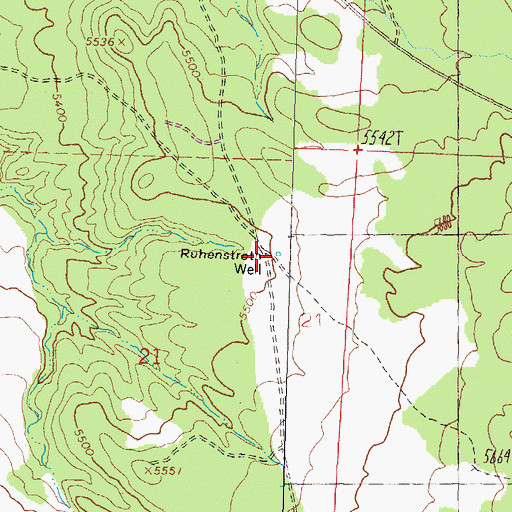 Topographic Map of Ruhenstroth Well, NV