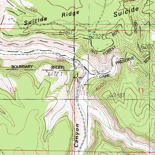 Topographic Map of Naile Canyon, AZ