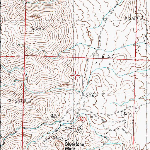 Topographic Map of Neilson Mine, NV