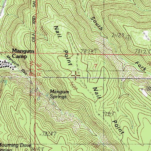 Topographic Map of Naile Point, AZ