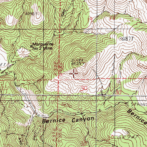 Topographic Map of Bernice Mining District, NV