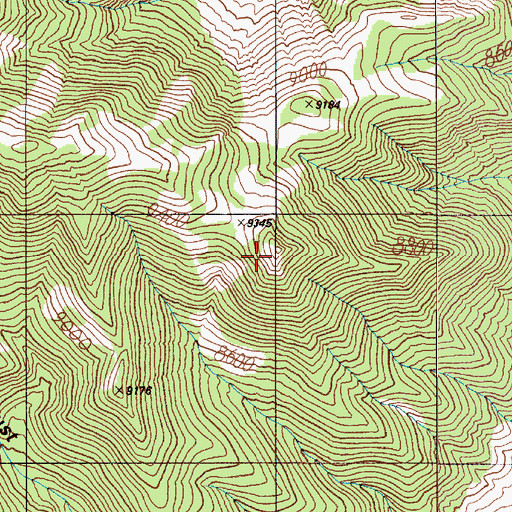 Topographic Map of Diana Peak, NV