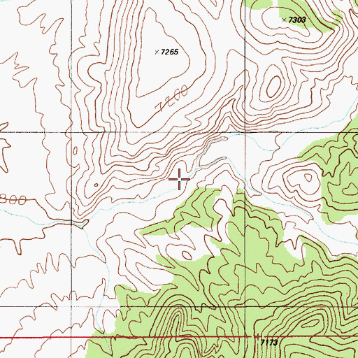 Topographic Map of South Fork Brock Canyon, NV
