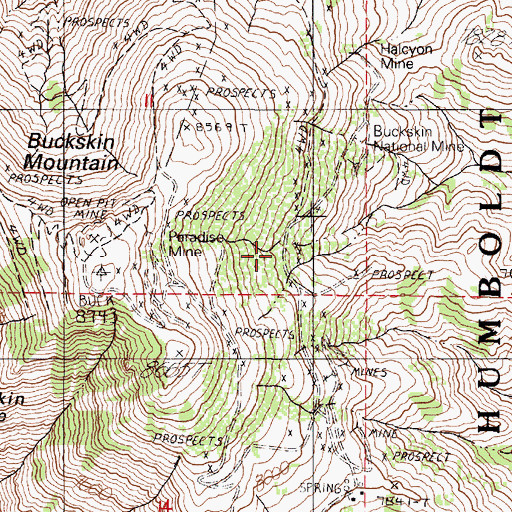 Topographic Map of Buckskin (historical), NV