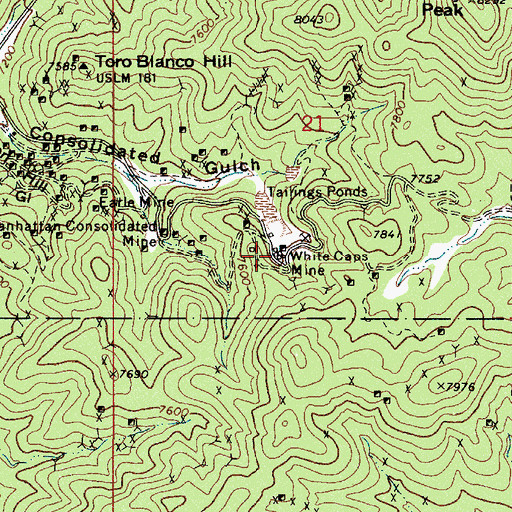 Topographic Map of White Caps (historical), NV