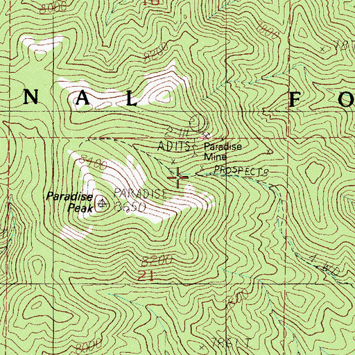 Topographic Map of Paradise Peak (historical), NV