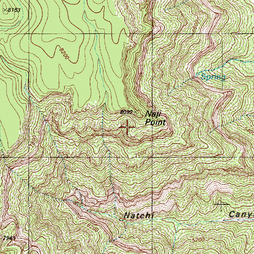 Topographic Map of Naji Point, AZ