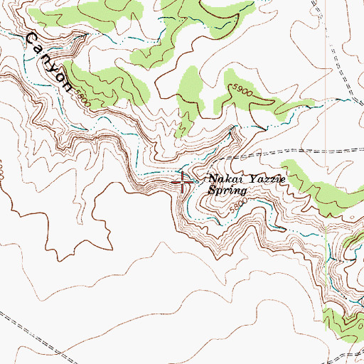 Topographic Map of Nakai Yazzie Spring, AZ