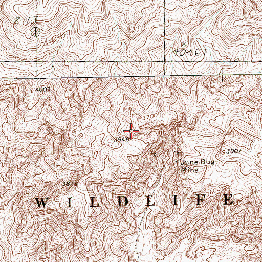 Topographic Map of Gass Peak Mining District, NV