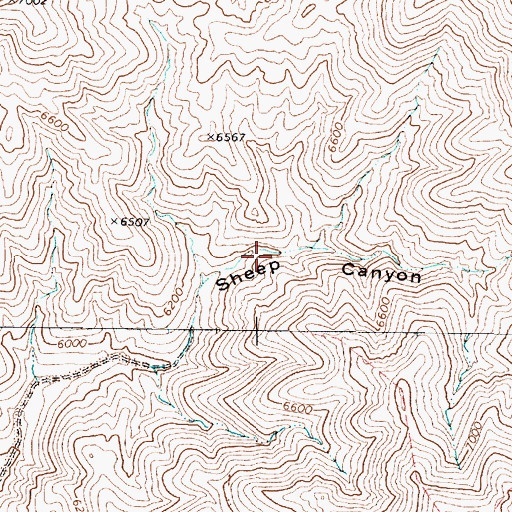 Topographic Map of Sheep Canyon Spring, NV