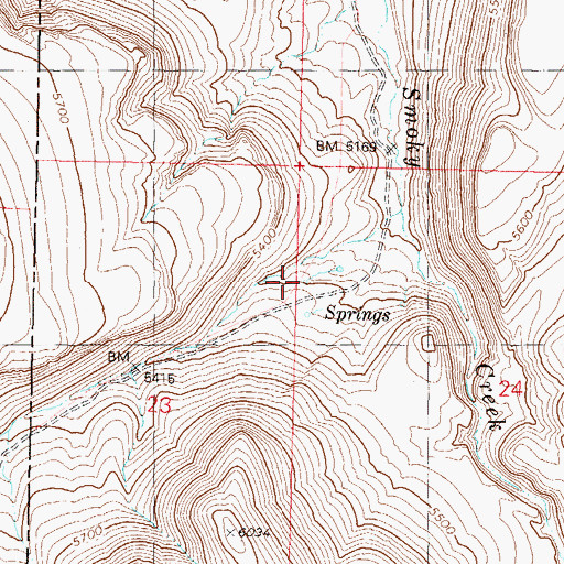 Topographic Map of Flower Spring, NV