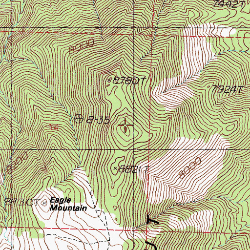 Topographic Map of Eagle Mountain, NV