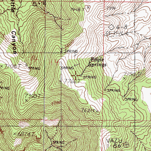 Topographic Map of Eagle Springs, NV