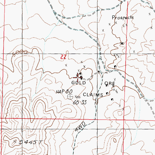 Topographic Map of Gold Ore Claims, NV