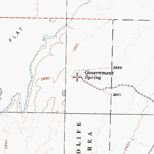 Topographic Map of Government Spring, NV