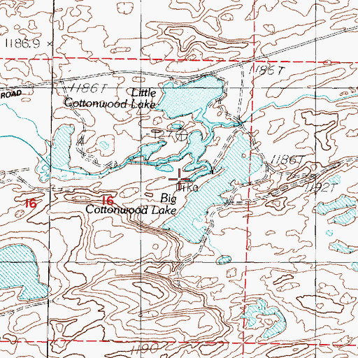 Topographic Map of Little Cottonwood Lake, NV