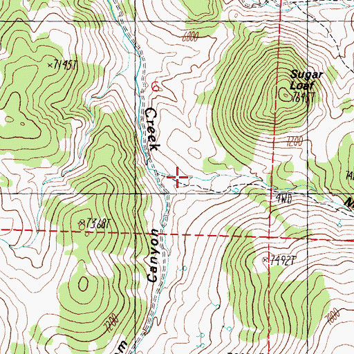 Topographic Map of Mill Canyon, NV