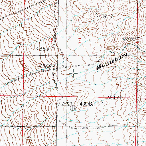 Topographic Map of Muttlebury Canyon, NV
