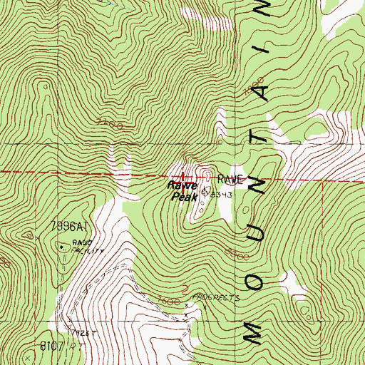 Topographic Map of Rawe Peak, NV