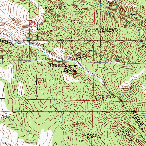 Topographic Map of Risue Canyon Spring, NV