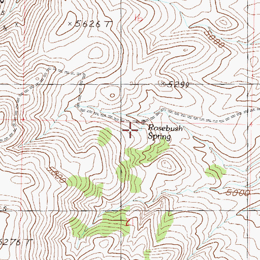 Topographic Map of Rosebush Spring, NV