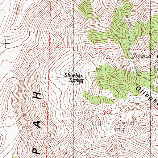 Topographic Map of Sheehan Spring, NV