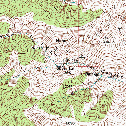 Topographic Map of Silver Hill, NV