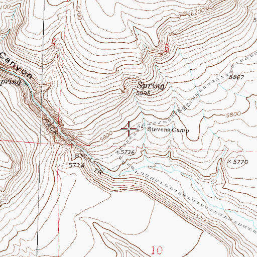 Topographic Map of Stevens Camp, NV