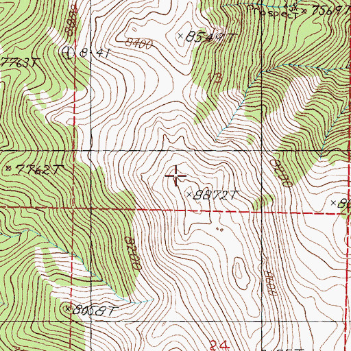 Topographic Map of Rice Peak, NV