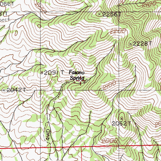 Topographic Map of Fasano Spring, NV