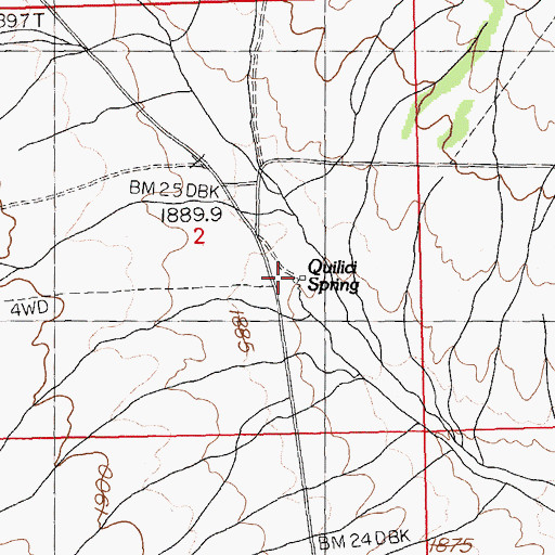 Topographic Map of Quilici Spring, NV