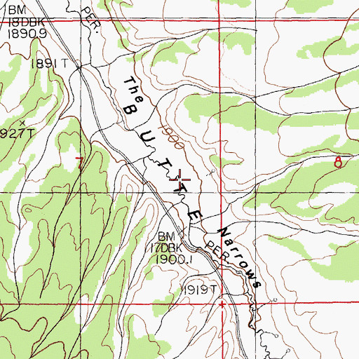 Topographic Map of The Narrows, NV