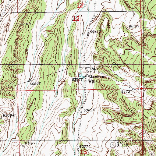 Topographic Map of Sleeman Well, NV