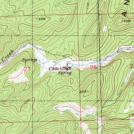 Topographic Map of Chin Creek Spring, NV