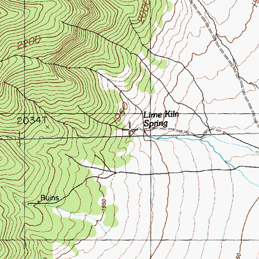 Topographic Map of Lime Kiln Spring, NV