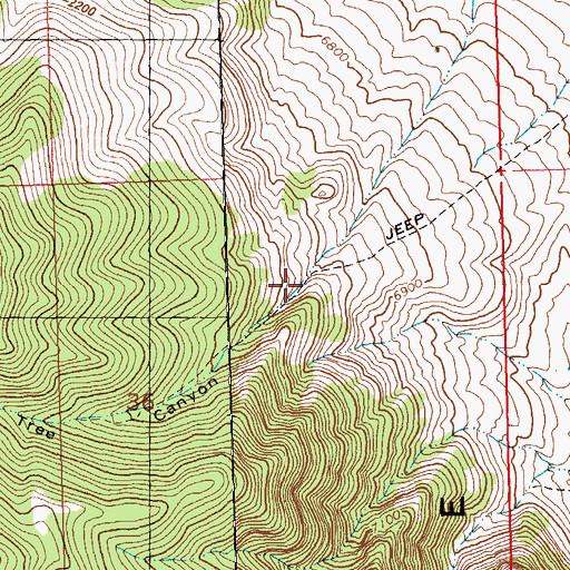 Topographic Map of Christmas Tree Canyon, NV