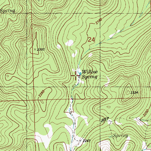 Topographic Map of Willow Spring, NV
