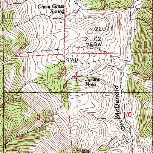 Topographic Map of Julians Hole, NV