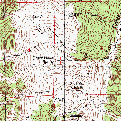 Topographic Map of Cheat Grass Spring, NV