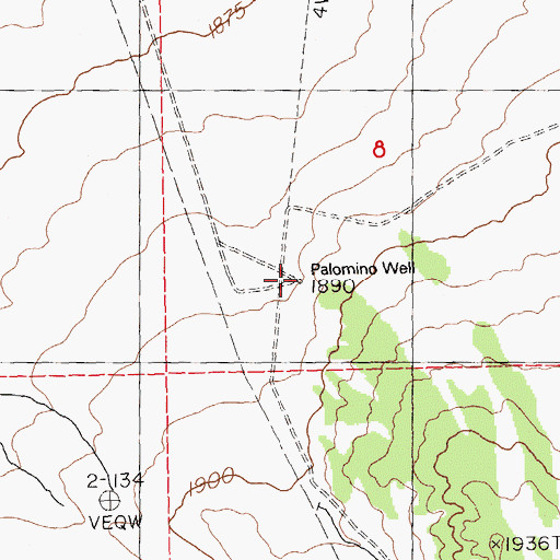 Topographic Map of Palomino Well, NV