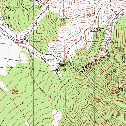 Topographic Map of Paris Spring, NV